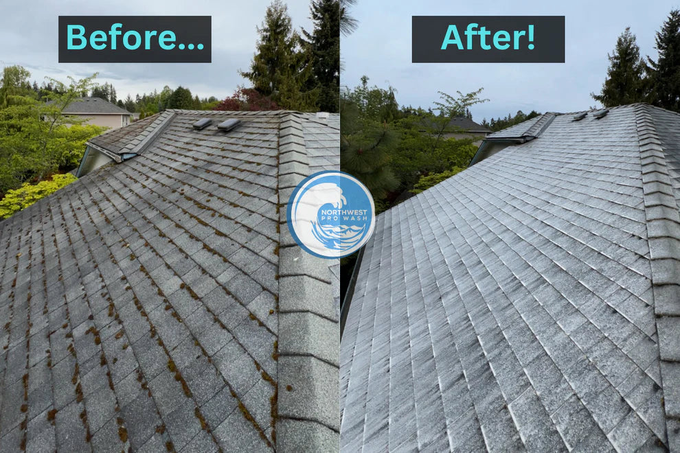 Spencer’s Eco Roof Wash